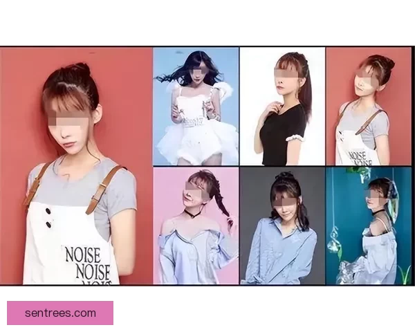 md传媒免费资源在线观看全攻略高清内容实时更新平台推荐合集版